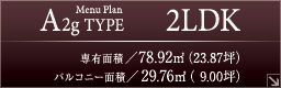 A2gtype